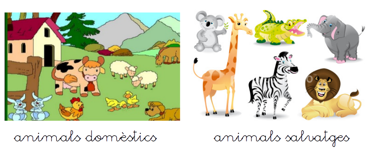 classificar animals