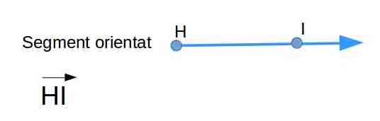 segment orientat